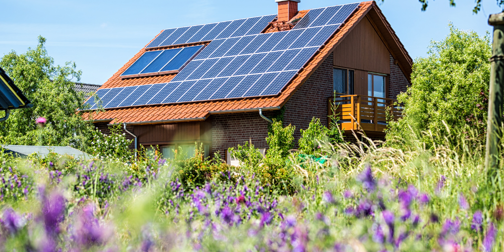 Maximize your Solar Investment with the Right Energy Tariff